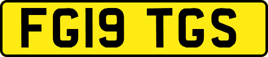 FG19TGS
