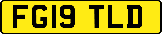 FG19TLD