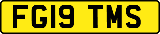 FG19TMS