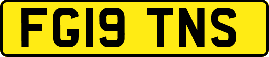 FG19TNS