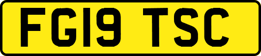 FG19TSC