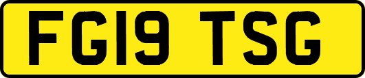 FG19TSG