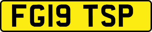 FG19TSP