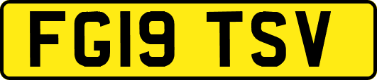 FG19TSV