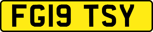 FG19TSY