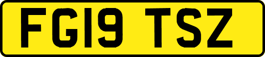 FG19TSZ