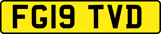 FG19TVD