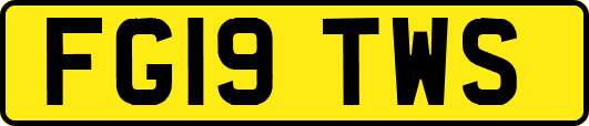 FG19TWS