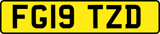 FG19TZD
