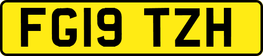 FG19TZH