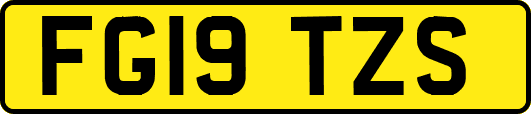 FG19TZS
