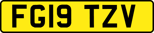 FG19TZV