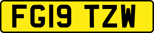 FG19TZW
