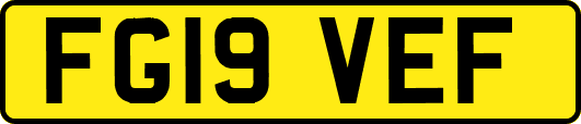 FG19VEF
