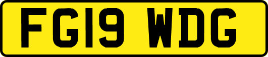 FG19WDG
