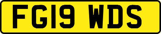 FG19WDS