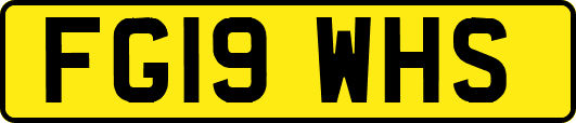 FG19WHS