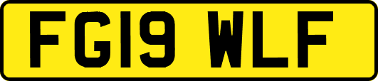 FG19WLF