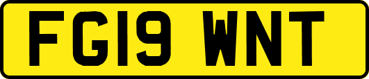 FG19WNT