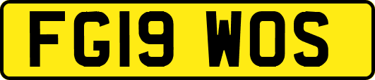 FG19WOS