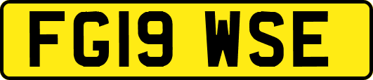 FG19WSE