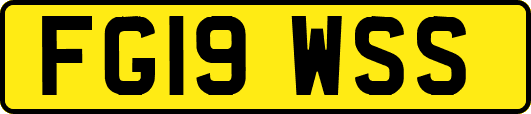 FG19WSS