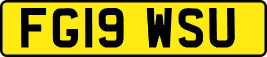 FG19WSU