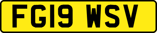 FG19WSV