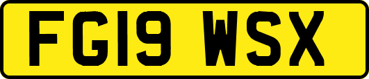 FG19WSX