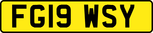 FG19WSY