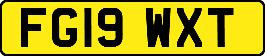 FG19WXT