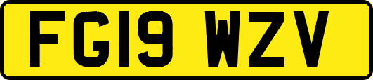 FG19WZV
