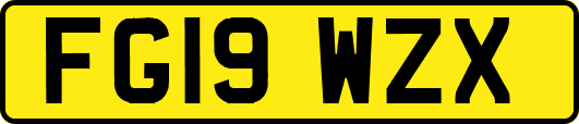 FG19WZX