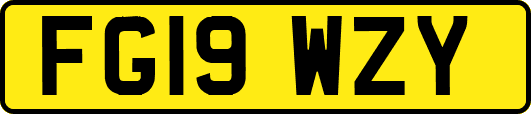 FG19WZY