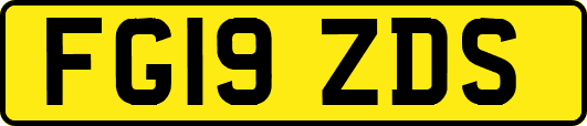 FG19ZDS