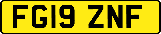 FG19ZNF
