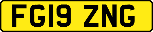 FG19ZNG