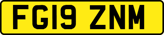 FG19ZNM