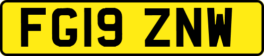 FG19ZNW
