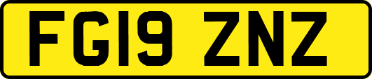 FG19ZNZ