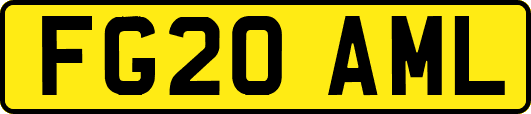 FG20AML
