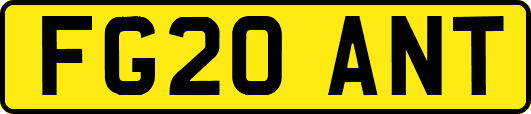 FG20ANT