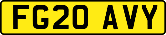 FG20AVY