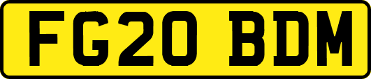 FG20BDM