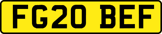 FG20BEF