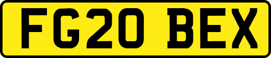 FG20BEX