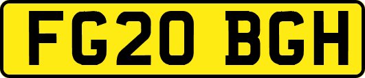 FG20BGH