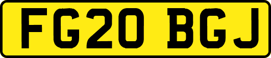 FG20BGJ