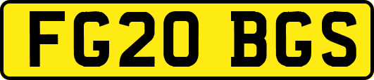 FG20BGS