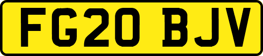 FG20BJV